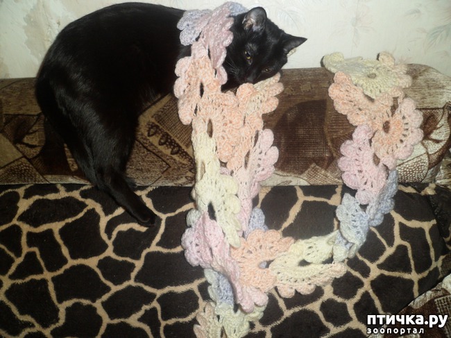 ���� 7: ���� - ������������ �����������)