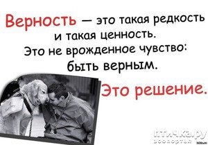 фотография: Это ли не преданность? фото: Это ли не преданность?