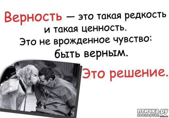 ���� 1: ��� �� �� �����������?