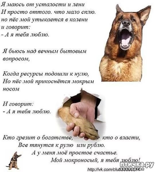 ���� 5: ��� �� �� �����������?