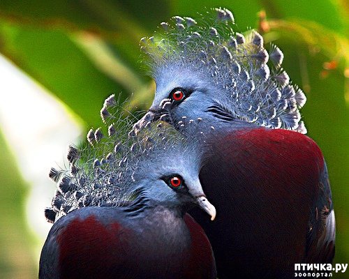 ���� 1: ����� ������������ �����