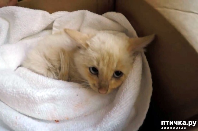 ���� 1: ������� �������, ������� �������� ��������� �� ����� �������� ����)