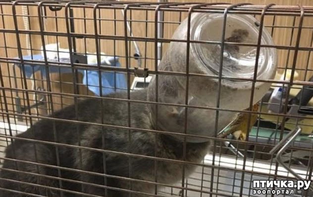 ���� 4: ������� �������, ������� �������� ��������� �� ����� �������� ����)