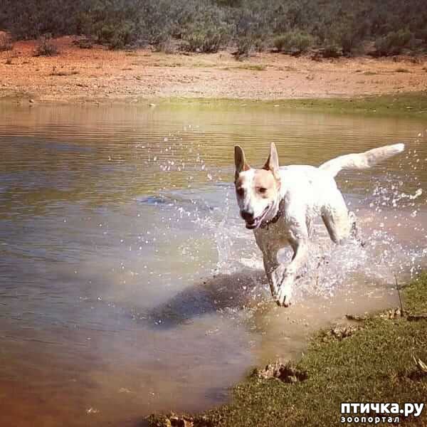 ���� 8: ��������� ������� ����