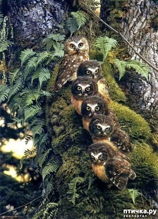 ���� 1: ������