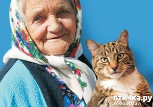 ����: ������� ���� ������ ��� �� ��