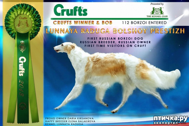  1:        CRUFTS!