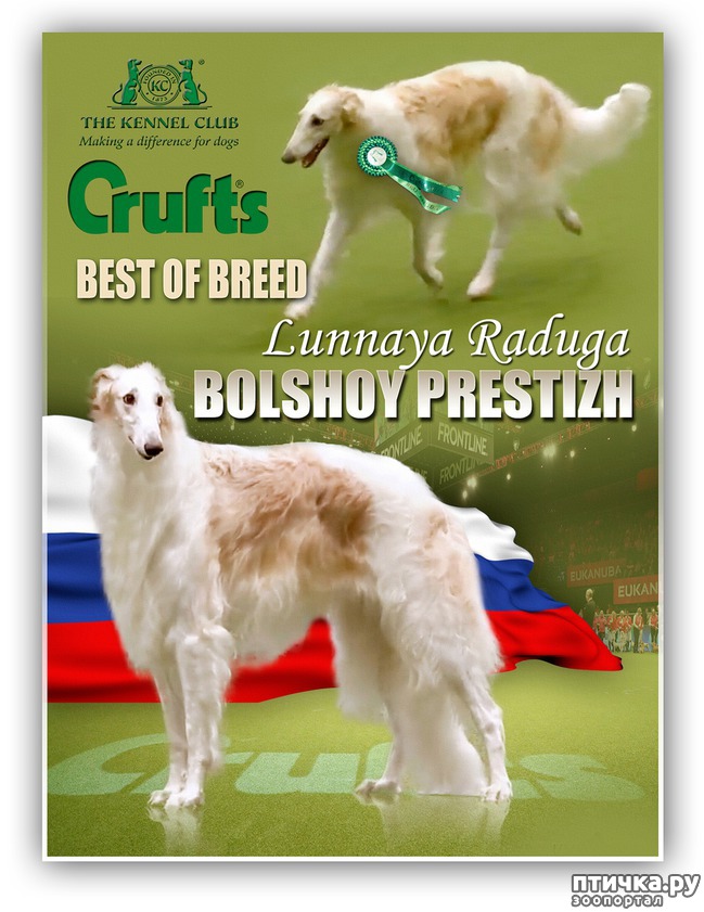  2:        CRUFTS!