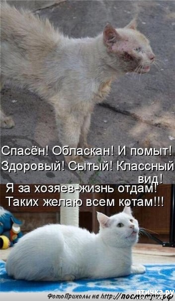 ���� 1: ������