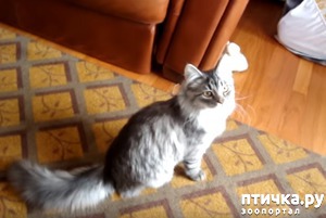 ����: ���-������ ������� ����� ����, ��� �� �� ������!