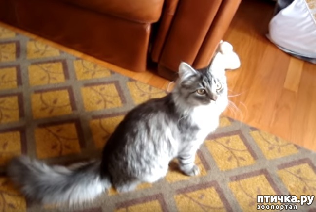 ���� 1: ���-������ ������� ����� ����, ��� �� �� ������!