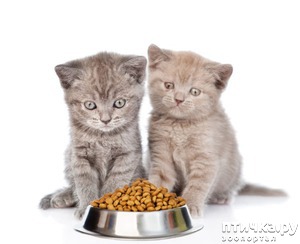 ����: ��� ������� ����� ���� ��� �����?