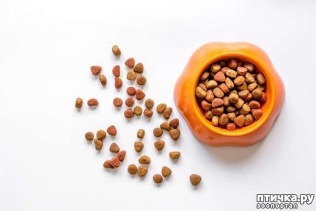 ���� 2: ��� ������� ����� ���� ��� �����?