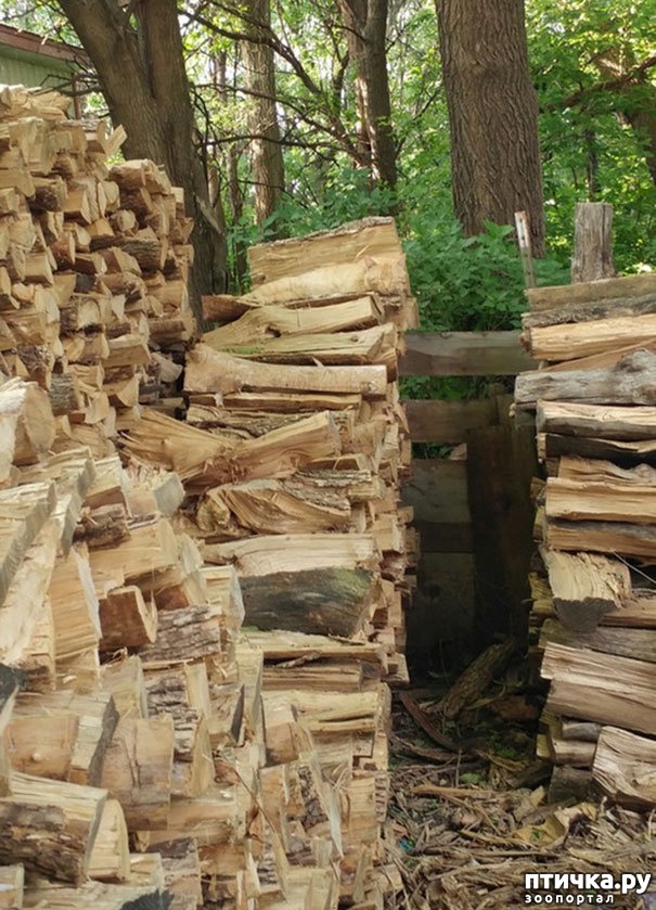 ���� 1: ����� ����: ������ ������-���������, ������� ���������� ����� �� ����