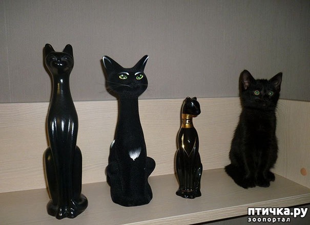 ���� 2: ����� ����: ������ ������-���������, ������� ���������� ����� �� ����