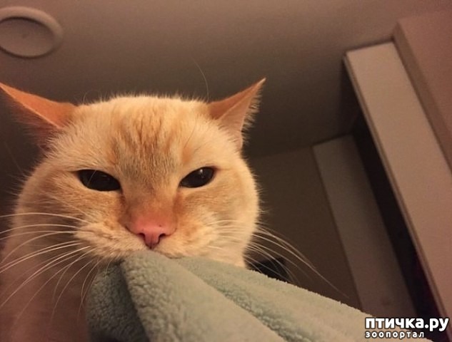 ���� 4: ������, ��� � ���� �����...