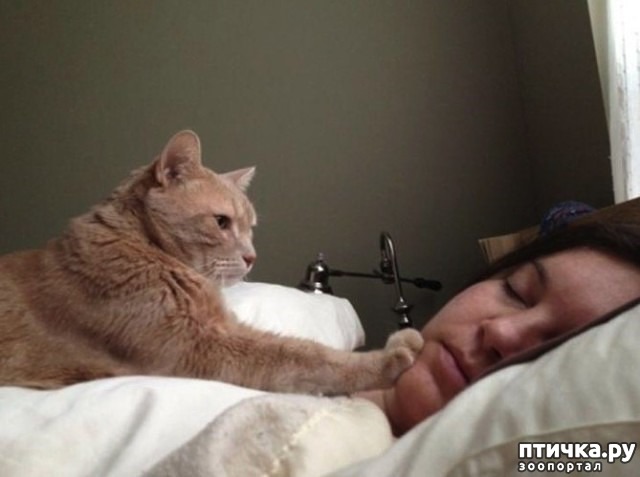 ���� 5: ������, ��� � ���� �����...