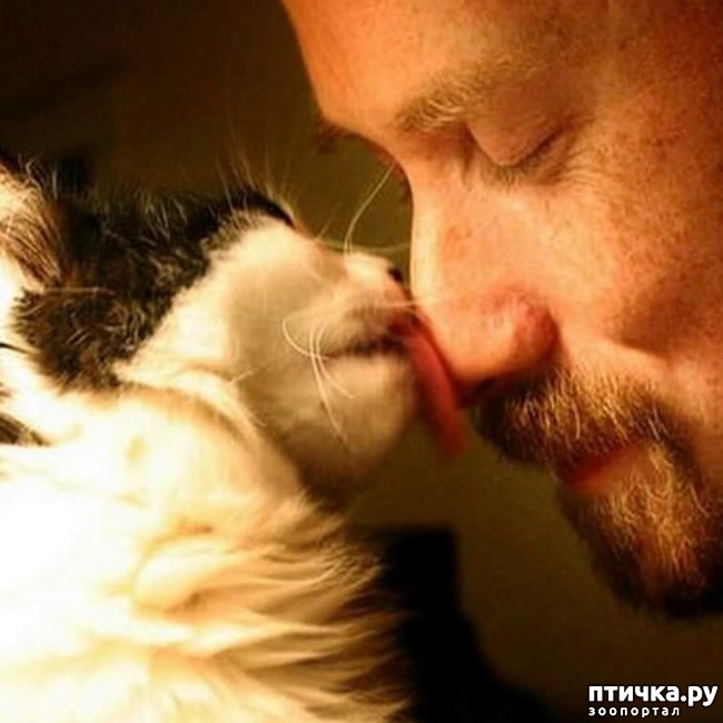 ���� 1: ������� ���