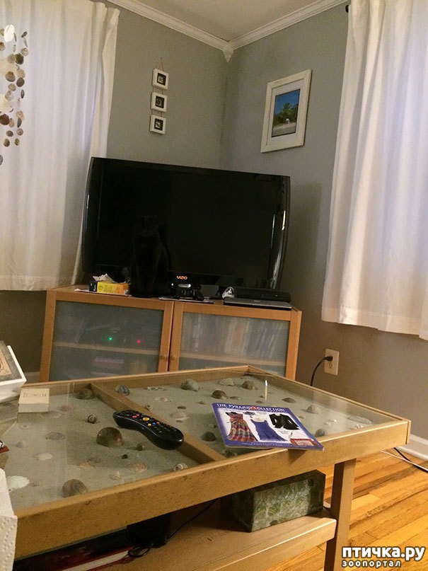 ���� 3: ����� ����: ������ ������-���������, ������� ���������� ����� �� ����