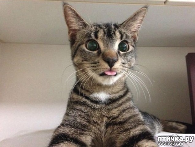 ���� 6: ������, ��� � ���� �����...