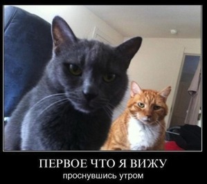 ����: ������, ��� � ���� �����...