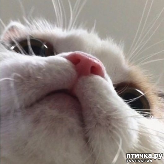 ���� 2: ������, ��� � ���� �����...