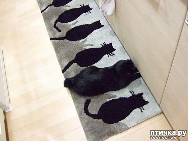 ���� 5: ����� ����: ������ ������-���������, ������� ���������� ����� �� ����