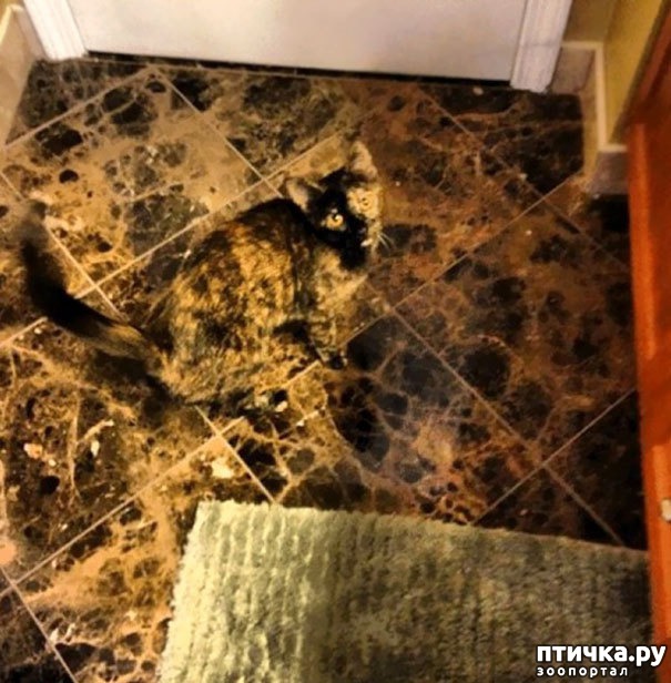 ���� 6: ����� ����: ������ ������-���������, ������� ���������� ����� �� ����