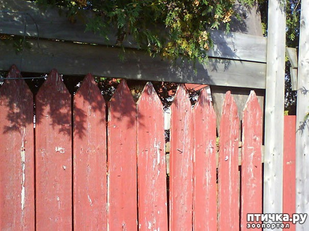 ���� 7: ����� ����: ������ ������-���������, ������� ���������� ����� �� ����