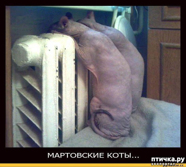 ���� 1: � ��� ���� ���������� �����������!