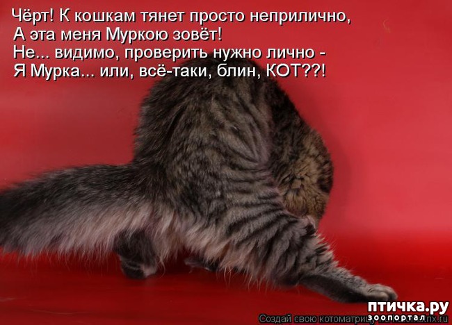 ���� 3: � ��� ���� ���������� �����������!