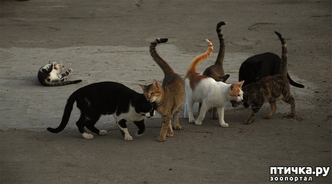 ���� 4: � ��� ���� ���������� �����������!