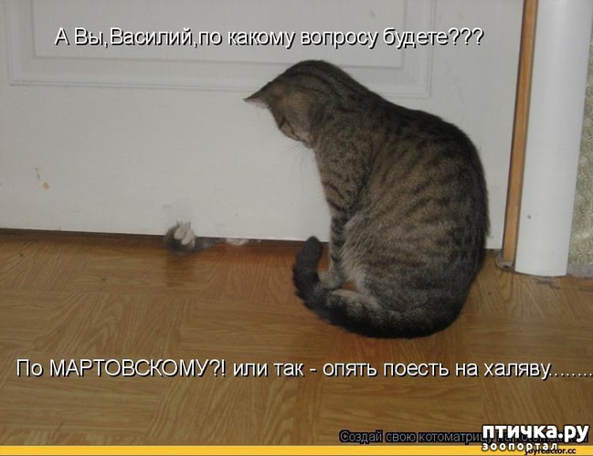 ���� 6: � ��� ���� ���������� �����������!