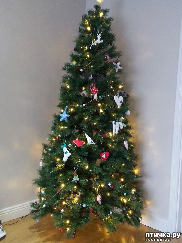 ���� 9: ����� ����: ������ ������-���������, ������� ���������� ����� �� ����