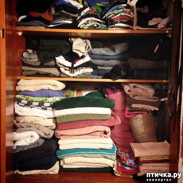 ���� 10: ����� ����: ������ ������-���������, ������� ���������� ����� �� ����