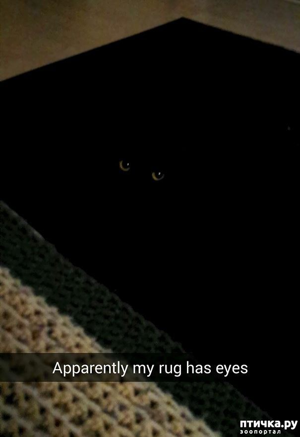 ���� 11: ����� ����: ������ ������-���������, ������� ���������� ����� �� ����