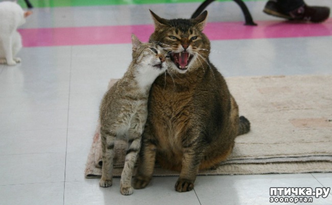 ���� 7: � ��� ���� ���������� �����������!