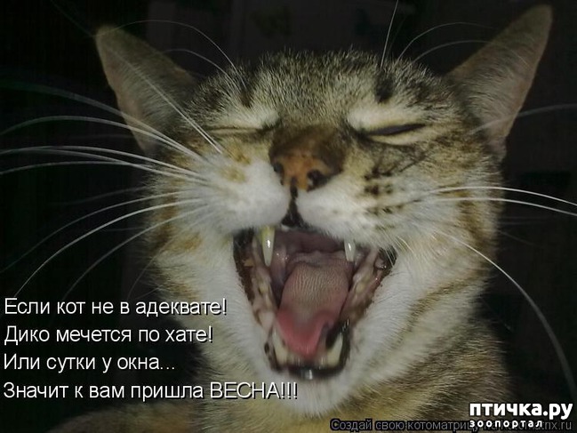 ���� 8: � ��� ���� ���������� �����������!