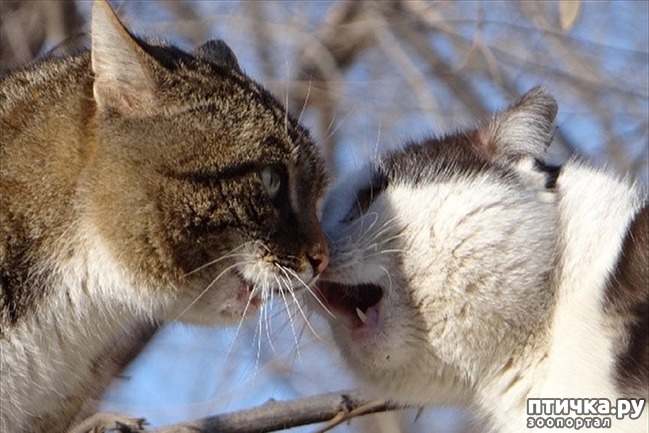 ���� 9: � ��� ���� ���������� �����������!