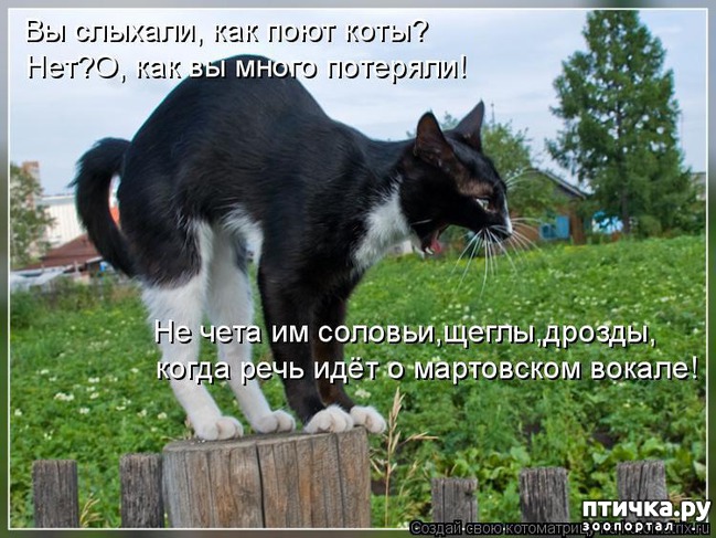 ���� 11: � ��� ���� ���������� �����������!