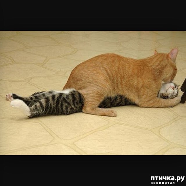 ���� 12: � ��� ���� ���������� �����������!