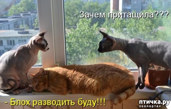 ���� 13: � ��� ���� ���������� �����������!