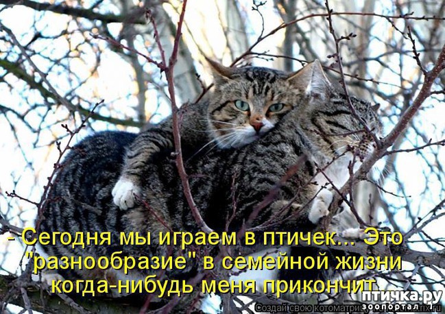 ���� 15: � ��� ���� ���������� �����������!