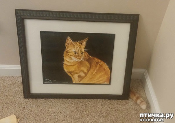 ���� 12: ����� ����: ������ ������-���������, ������� ���������� ����� �� ����