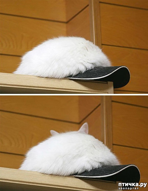 ���� 14: ����� ����: ������ ������-���������, ������� ���������� ����� �� ����