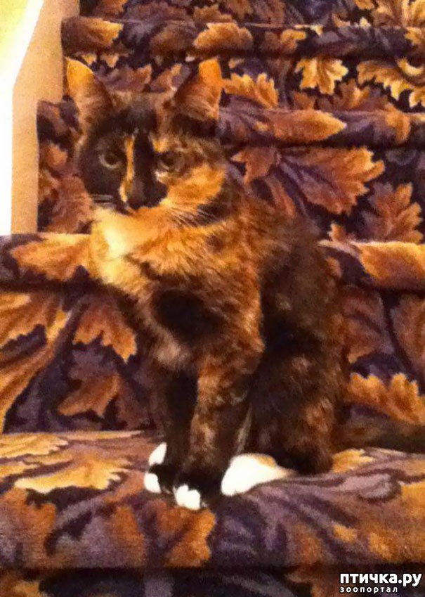 ���� 15: ����� ����: ������ ������-���������, ������� ���������� ����� �� ����