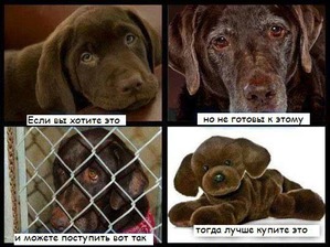 фотография: Подумай! фото: Подумай!