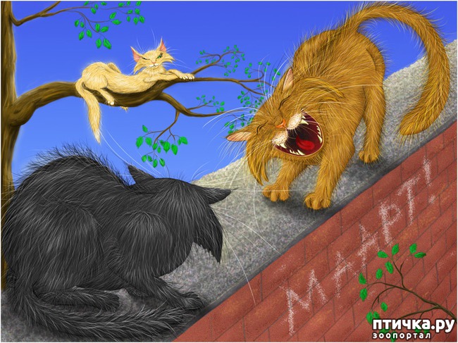 ���� 16: � ��� ���� ���������� �����������!