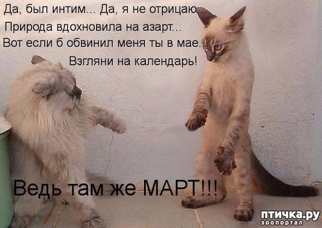 ���� 17: � ��� ���� ���������� �����������!