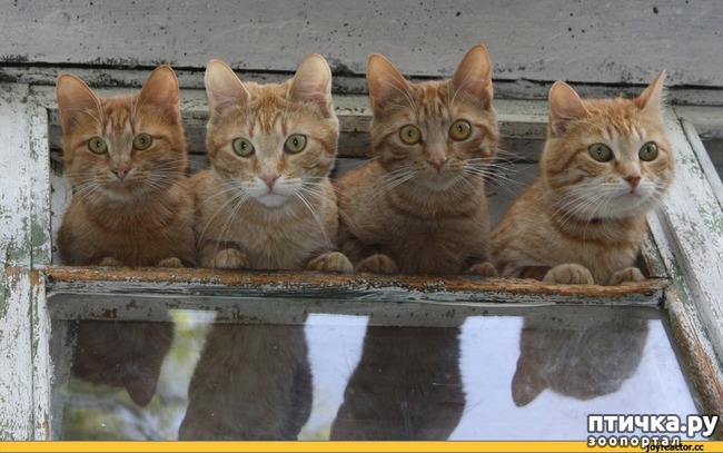 ���� 18: � ��� ���� ���������� �����������!